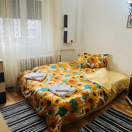 Apartament Cornelia Bodzavásár Kültér fotó